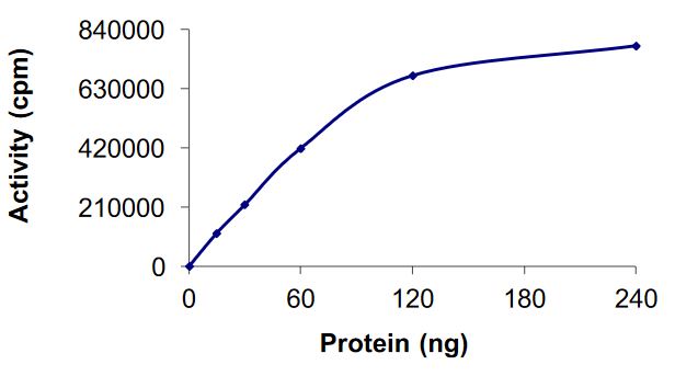 Functional Studies - Recombinant mouse AMPK alpha 1 + AMPK gamma 1 + AMPK beta 2/PRKAB2 protein (Active) (AB268344)