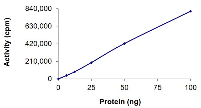 Recombinant mouse AMPK alpha 2 + AMPK gamma 1 + AMPK beta 2/PRKAB2 protein (Active)