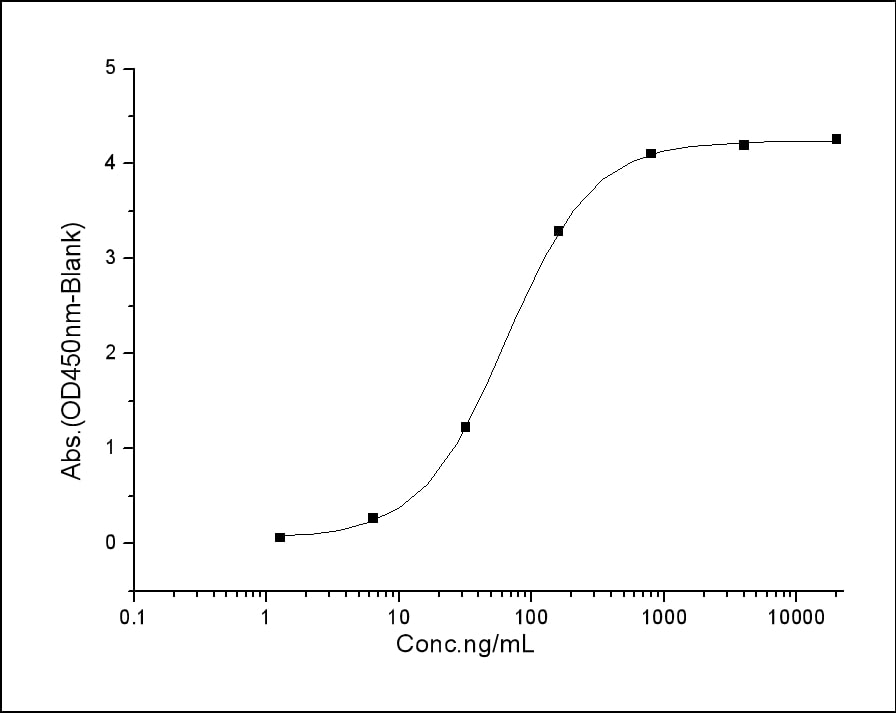 Recombinant mouse Angiopoietin 2/ANG2 protein (His tag)