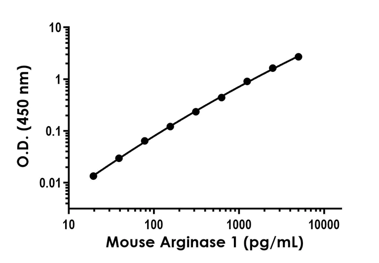 Sandwich ELISA - Recombinant Mouse Arginase 1 Protein Standard (His tag) (AB316434)
