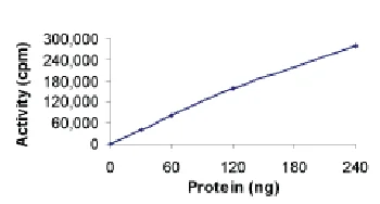 Functional Studies - Recombinant mouse Aurora A protein (AB60327)