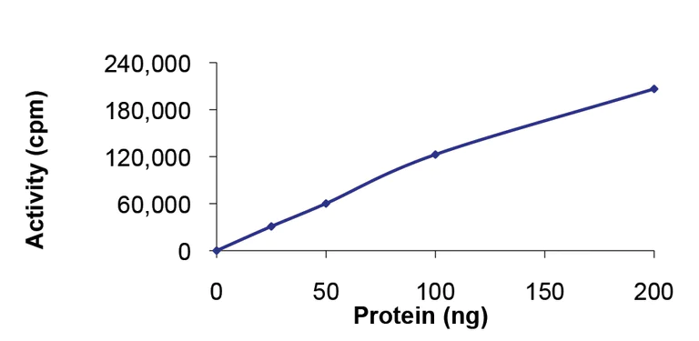 Functional Studies - Recombinant mouse Aurora A protein (AB60327)