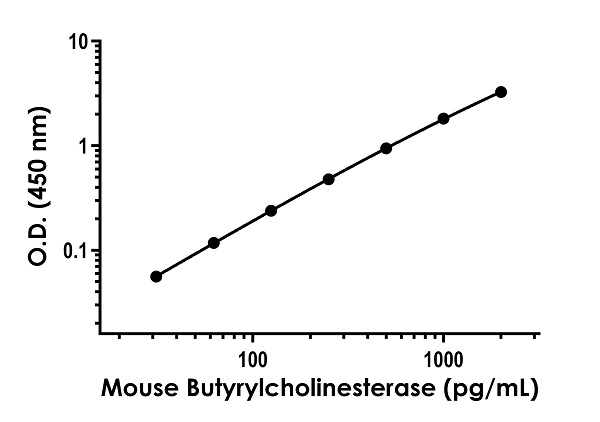 Sandwich ELISA - Recombinant Mouse Butyrylcholinesterase Protein Standard (His tag) (AB316698), expandable thumbnail
