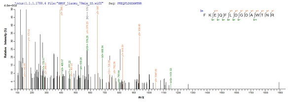 Mass Spectrometry - Recombinant Mouse Calreticulin protein (His tag) (AB240775)