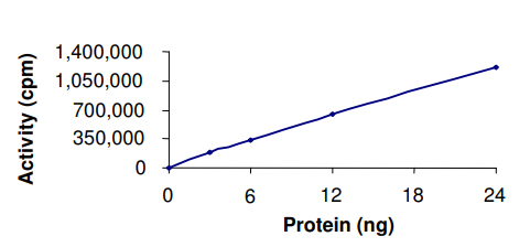 Functional Studies - Recombinant mouse CaMKI protein (AB51398)