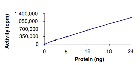 Functional Studies - Recombinant mouse CaMKI protein (AB51398)