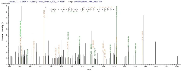 Mass Spectrometry - Recombinant Mouse Carboxylesterase 1C protein (His tag) (AB226240)