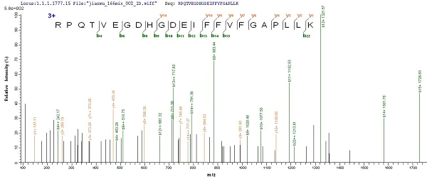 Mass Spectrometry - Recombinant Mouse Carboxylesterase 1C protein (His tag) (AB226240)