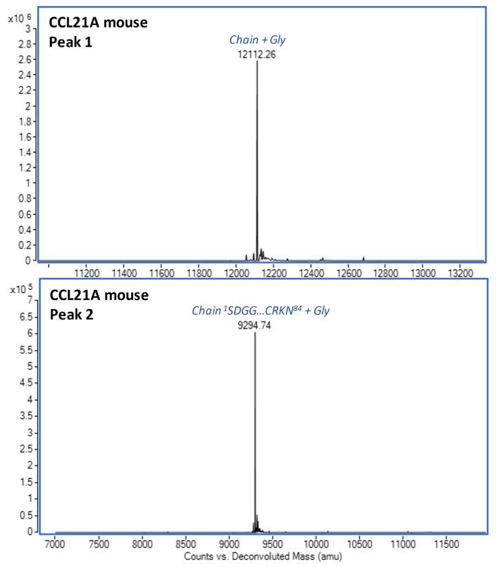 Mass Spectrometry - Recombinant Mouse Ccl21a protein (AB283462), expandable thumbnail