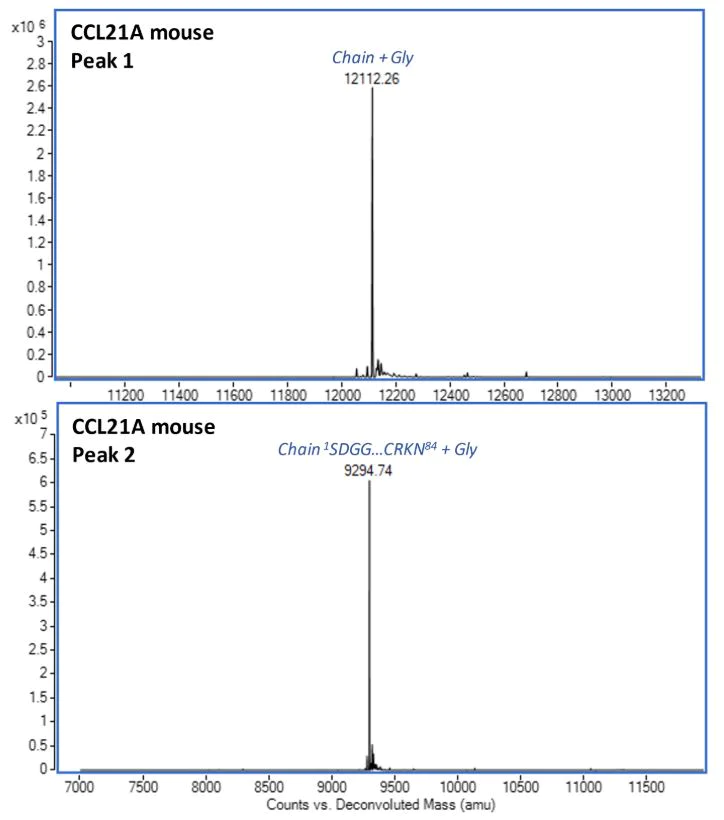Mass Spectrometry - Recombinant Mouse Ccl21a protein (AB283462)