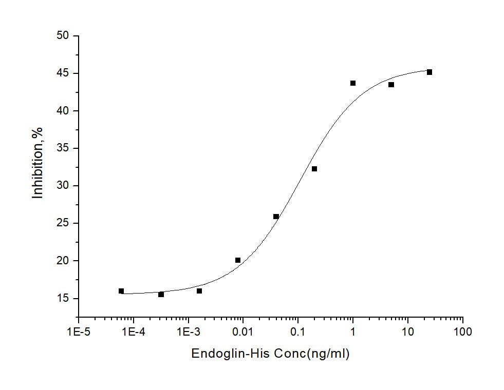 Functional Studies - Recombinant mouse CD105 protein (His tag) (AB276838), expandable thumbnail