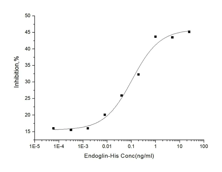 Functional Studies - Recombinant mouse CD105 protein (His tag) (AB276838)