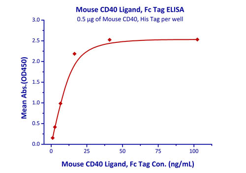 Functional Studies - Recombinant mouse CD40 protein (Active) (AB220566), expandable thumbnail