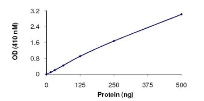 Phosphatase Activity - Recombinant mouse CD45 protein (AB102105)