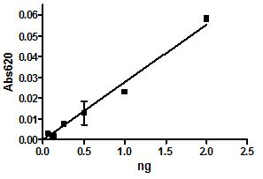 Recombinant mouse CD73 protein (Active)