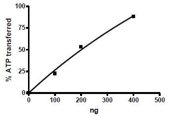Recombinant mouse CERK protein (Active)
