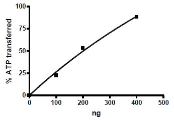 Functional Studies - Recombinant mouse CERK protein (Active) (AB271468)