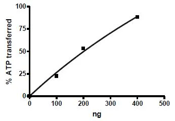 Functional Studies - Recombinant mouse CERK protein (Active) (DDDDK tag C-Terminus) (AB271468)