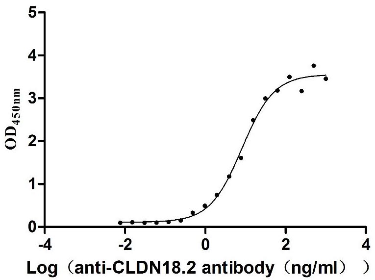 Functional Studies - Recombinant mouse Claudin18 protein - Active (His tag) (AB314530)