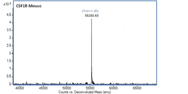 Mass Spectrometry - Recombinant Mouse CSF-1-R Protein (AB283937)