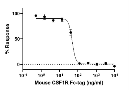 Biological Activity - Recombinant Mouse CSF-1-R Protein (Fc Chimera) (Active) (AB306528), expandable thumbnail