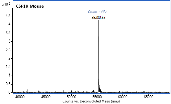 Mass Spectrometry - Recombinant Mouse CSF-1-R Protein (Fc Chimera) (Active) (AB306528), expandable thumbnail