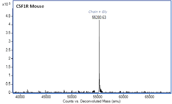 Mass Spectrometry - Recombinant Mouse CSF-1-R Protein (Fc Chimera) (Active) (AB306528)