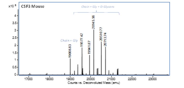 Mass Spectrometry - Recombinant mouse CSF3 protein (Active) (AB287913), expandable thumbnail