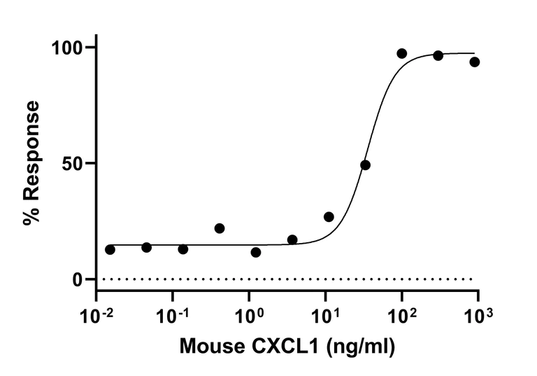 Biological Activity - Recombinant mouse CXCL1/GRO alpha protein (Active) (AB282381)
