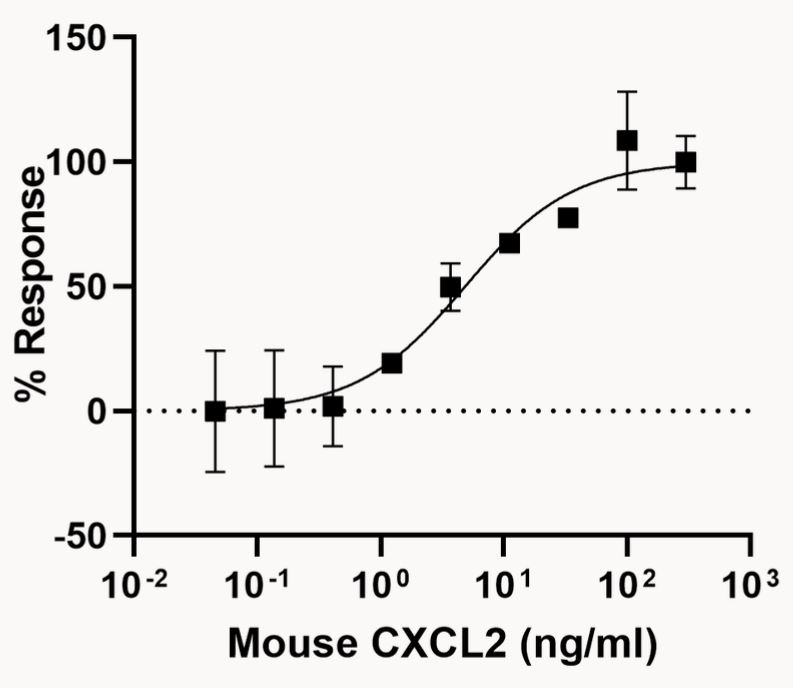Functional Studies - Recombinant mouse CXCL2 protein (Active) (AB282382), expandable thumbnail