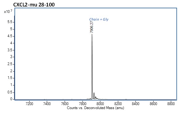 Mass Spectrometry - Recombinant mouse CXCL2 protein (Active) (AB282382), expandable thumbnail