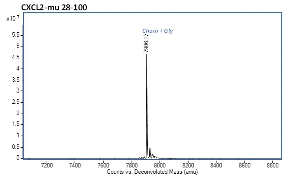 Mass Spectrometry - Recombinant mouse CXCL2 protein (Active) (AB282382)
