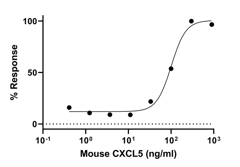Functional Studies - Recombinant Mouse CXCL5 protein (Active) (AB287930)