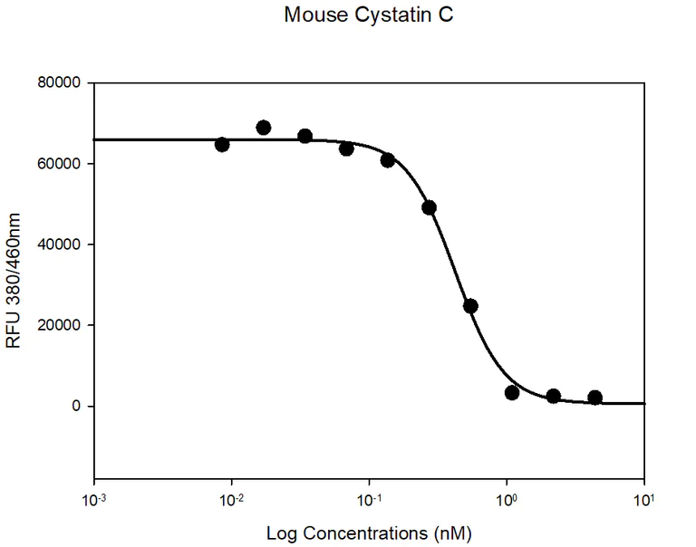 Functional Studies - Recombinant mouse Cystatin C protein (Active) (AB265859)