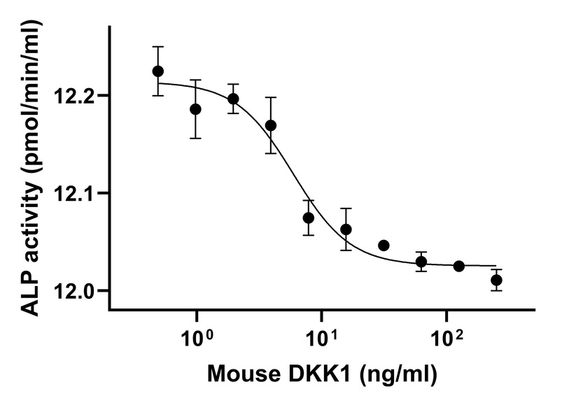 Functional Studies - Recombinant mouse DKK1 protein (Active) (AB281791), expandable thumbnail