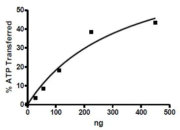 Functional Studies - Recombinant mouse DRAK2 protein (Active) (AB271491)