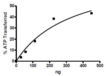 Functional Studies - Recombinant mouse DRAK2 protein (Active) (GST tag N-Terminus) (AB271491)