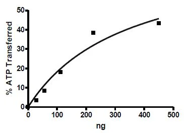 Functional Studies - Recombinant mouse DRAK2 protein (Active) (GST tag N-Terminus) (AB271491)