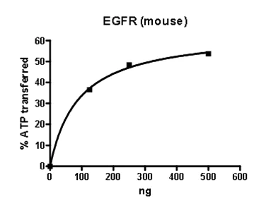 Functional Studies - Recombinant mouse EGFR protein (Active) (AB196107)