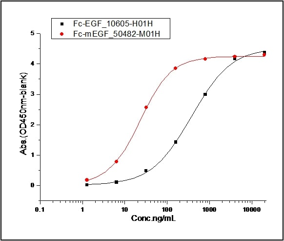 Recombinant mouse EGFR protein (His tag)