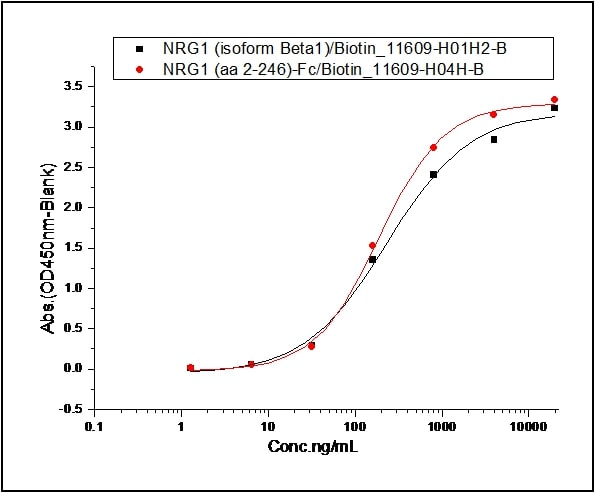 Recombinant mouse ErbB3 / HER3 protein (His tag)