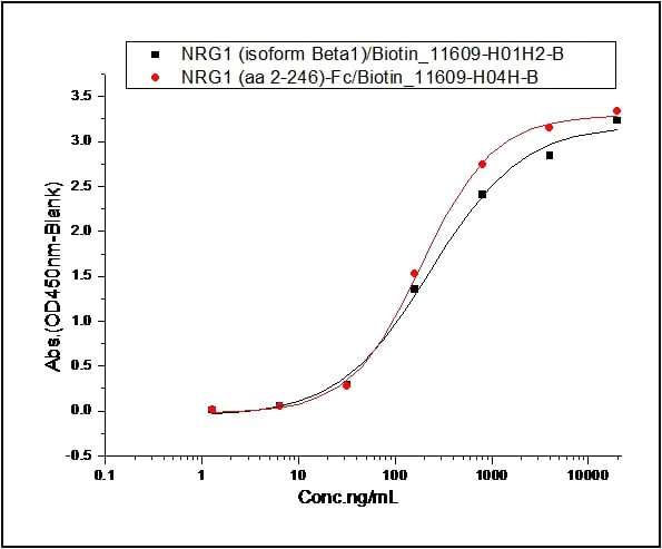 Functional Studies - Recombinant mouse ErbB3 / HER3 protein (His tag) (AB276962)