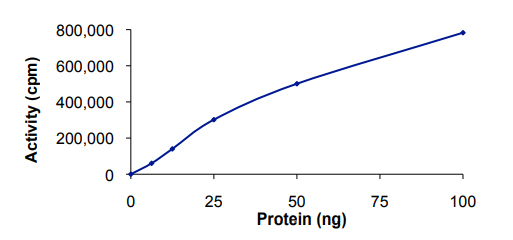 Functional Studies - Recombinant mouse FER protein (AB56258), expandable thumbnail