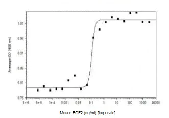 Functional Studies - Recombinant mouse FGF2 protein (Animal Free) (AB229521)