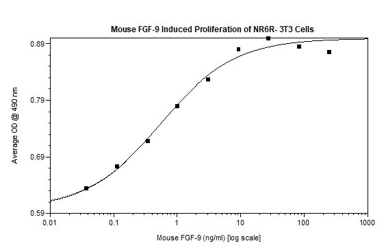 Functional Studies - Recombinant mouse FGF9/GAF protein (Active) (AB269182)