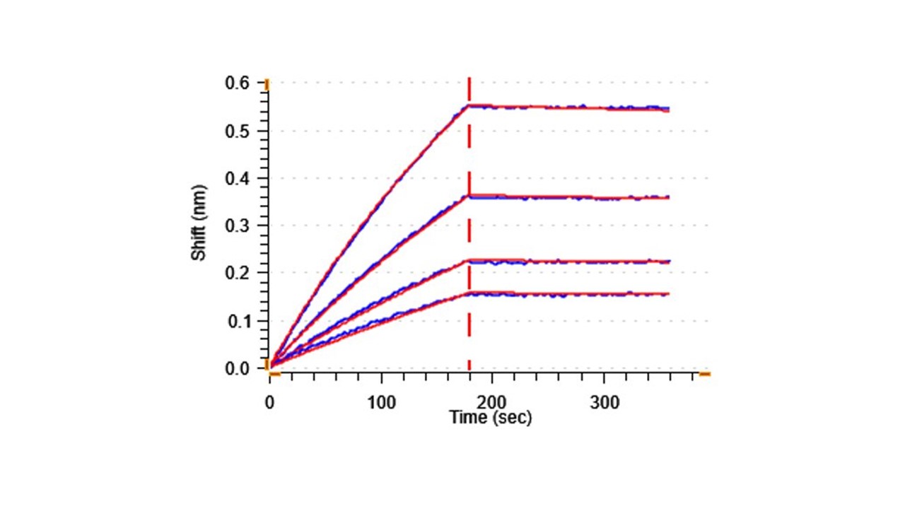 Biological Activity - Recombinant Mouse FLT1/VEGF Receptor 1 protein (Active) (AB282387)