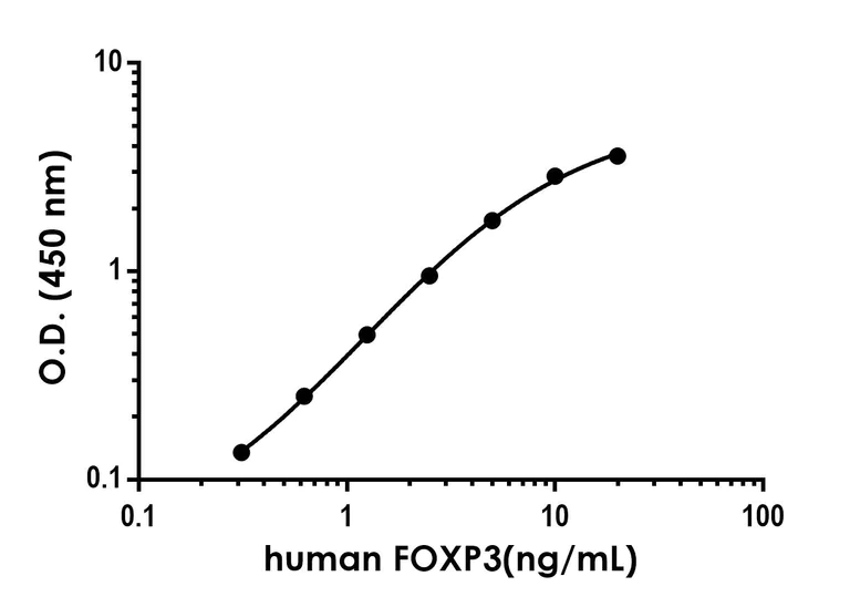 Sandwich ELISA - Recombinant Mouse FOXP3 Protein Standard (His tag) (AB316680)