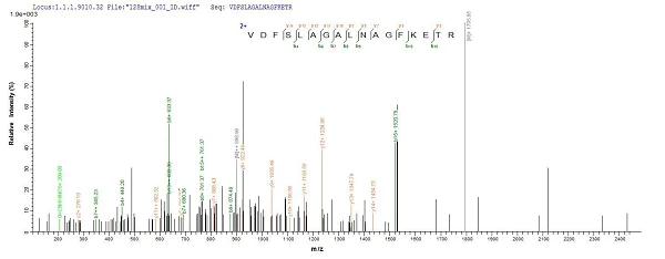 Mass Spectrometry - Recombinant Mouse GFAP protein (His tag) (AB226309)