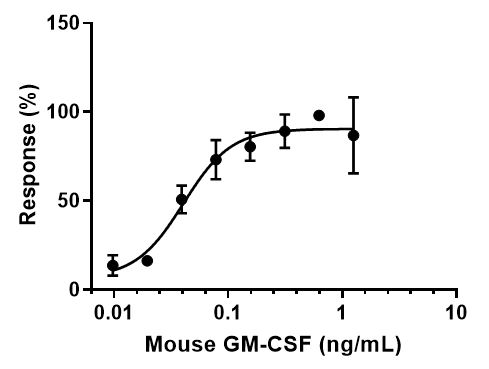 Recombinant mouse GM-CSF protein (Active)