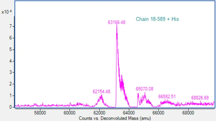 Mass Spectrometry - Recombinant Mouse GRN Protein (His tag) (AB313362)